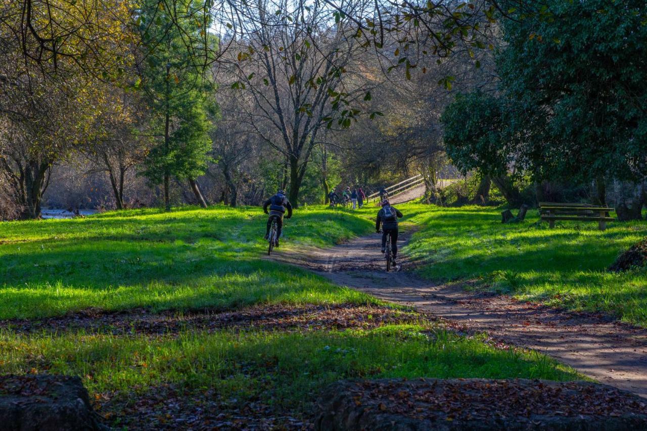 Casa Das Oliveiras Beiral do Lima エクステリア 写真